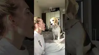 Ну какой он классный повторюшка🥰