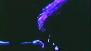 The Band - "Tears Of Rage", Woodstock 1969