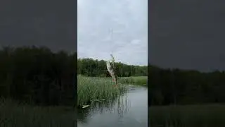 #как