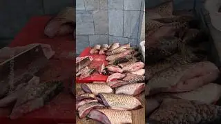 КАК УЗБЕКИ ЖАРЯТ РЫБУ 