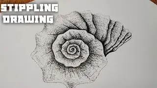 Stippling Drawing #82 - How to Draw a Textured Seashell Using Dot| Pen Drawing| Stippling Art
