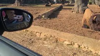 Via dello Zoosafari Włochy