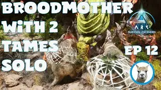 Solo Gamma Broodmother with 2 Megatheriums - Official PVE - Ark Survival Ascended