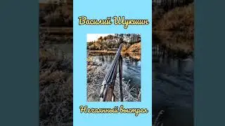 Василий Шукшин - Нечаянный выстрел