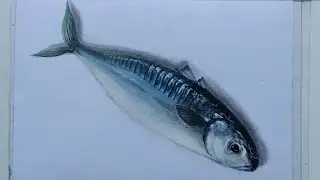 How to paint realistic fish | #shorts #art #fishpainting #painting