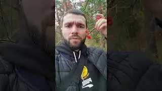 #Можетемненеверить но это #вишня!