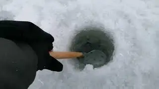 Пруд Шевченково. Прогулка с Depeer Chirp +2. Карась.