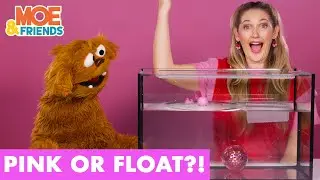 PINK or FLOAT | Science Challenge for Kids | Collab with @musicwithmichal