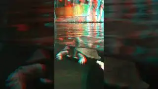 Turtle in the water 3D anaglyph