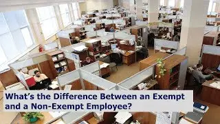 HR Rescue: What’s the Difference Between an Exempt and a Non-Exempt Employee?