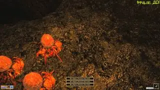 The Elder Scrolls III: Morrowind - Основы Гильдии Бойцов [ 19 ]