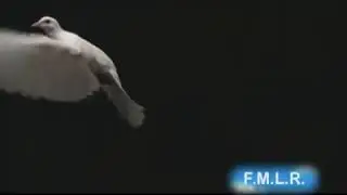 Erick Elias participa del tema dedicado a la visita del juan pablo II  en México 1998