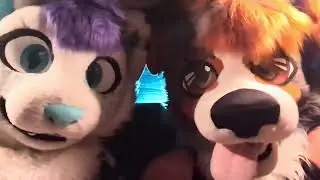 Almost DELETED? - Furries Review Coyote vs. ACME (2026)