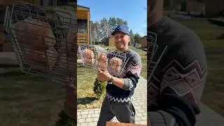 Одна из простых и МОИХ ЛЮБИМЫХ ЗАКУСОК НА МАНГАЛЕ🔥 Приготовит даже ребенок , а удивятся ВСЕ ❗️