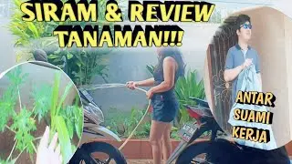 SEGAR LIHAT TANAMAN PAGI HARI !!!
