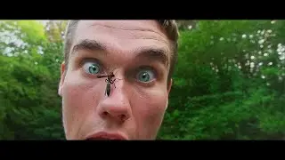 Just Joshing - Friends With a Wasp (Official Music Video)