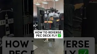 How to PROPERLY Reverse Pec Deck Fly (TRY THIS) 
