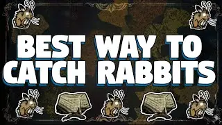 Best way to catch a Rabbit in Don't Starve Together - Easiest way to catch a rabbit in DST