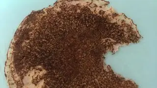 Всех с праздником