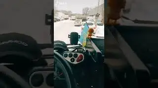 Служба поддержки то же не прочь выпить)