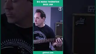 🔥 Watch Me Jam Bass To Big Mama Thornton!