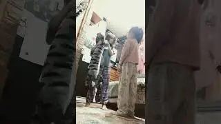 Систр