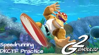 Tropical Freeze Speedrun Derusting