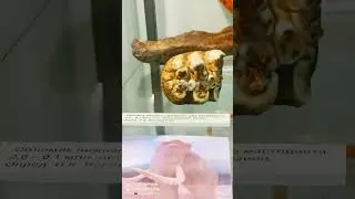 Пятигорский краеведческий музей. /февр.2022г/