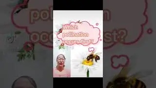 Pollination of Plants