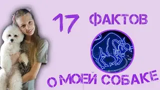 ФАКТЫ О МОЕЙ СОБАКЕ/ БИШОН ФРИЗЕ ШЕЛЛИ 💜🐩