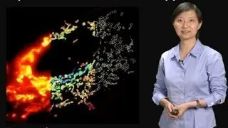 Microscopy: Super-Resolution Microscopy (Xiaowei Zhuang)