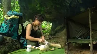 Solo two days Bushcraft  - Overnight Under a Rock, Emergency Survival Shelter