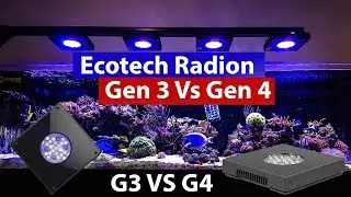 Ecotech Marne Radion Gen 3 vs Gen 4  - XR15 Pro upgrade and comparison