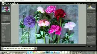 Camera to Web- Blog Photos Process