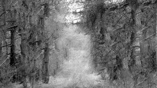 Accelerating an entropy