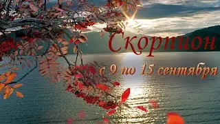 Скорпион Таро прогноз на неделю с 9 по 15 сентября 2024 года.