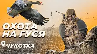 Охота на Чукотке весной на гуся