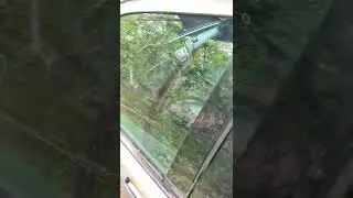 жены любовник приехал увидел машину мою в шоке 