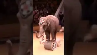 it's incredible!
