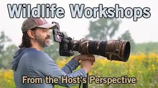 Wildlife photography workshop 2