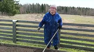 Копаем, высаживаем  рассаду цветов.