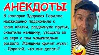 Новые смешные Анекдоты про Блондинок, Мужа и жену, Гориллу и Зарплату для мужа