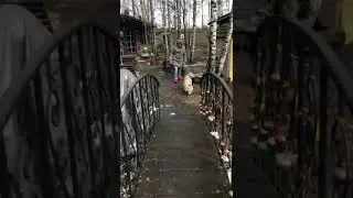 Анис с хозяйкой