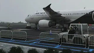 MSFS NEW UPDATE - World Update 12 - Let's fly in New Zealand today! - NVM I crashed..