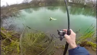 Big River Fishing - What disease has infected my fishing bait?!