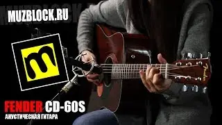 Fender CD-60S - обзор акустической гитары