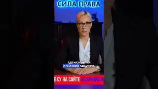 Что нужно знать иностранцу о самозанятости?