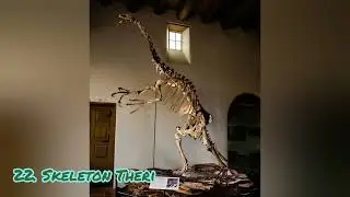 40 variations of Therizinosaurus