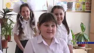 «Сельский вестник» в «ОкНе». Новый проект районных СМИ
