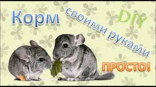 DIY Готовим простой корм для ШИНШИЛЛ своими руками!+простой прикорм